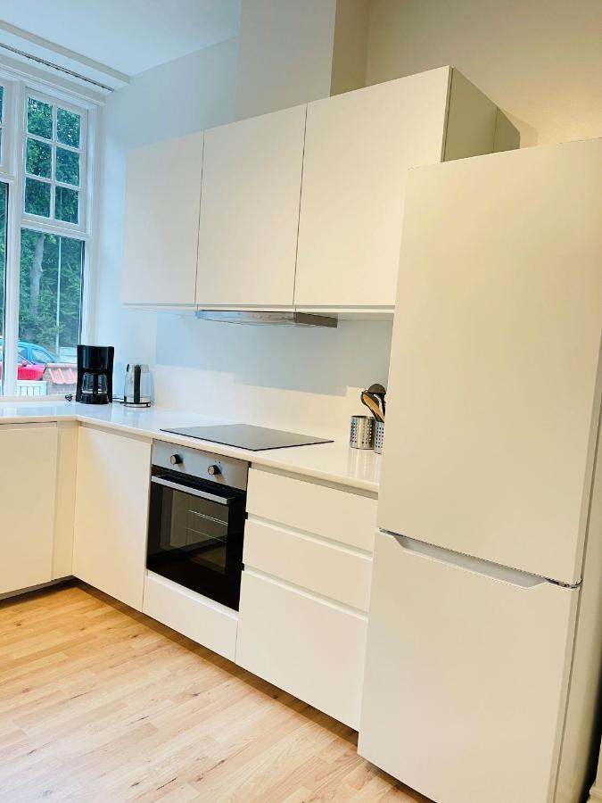 Aday - Aalborg Mansion - Big Apartment With Garden Zewnętrze zdjęcie